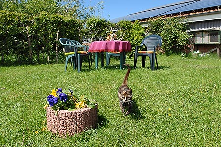 Foto aus der Fotogruppe 