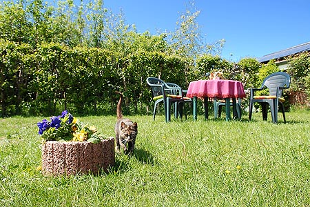 Foto aus der Fotogruppe 