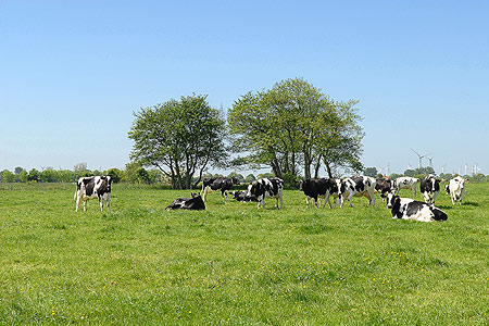 Foto aus der Fotogruppe 