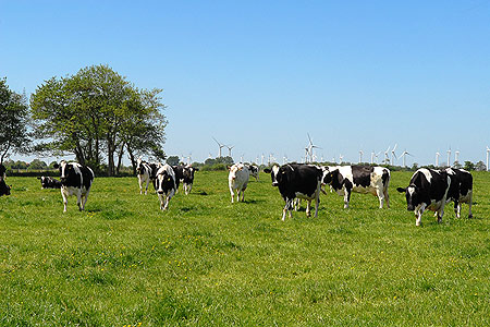 Foto aus der Fotogruppe 