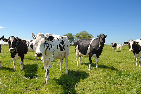 Foto aus der Fotogruppe 
