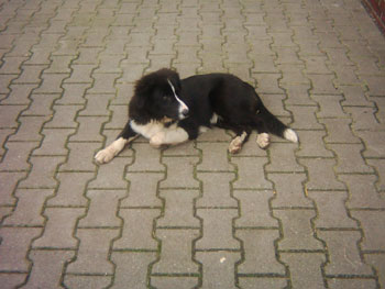 Foto aus der Fotogruppe 