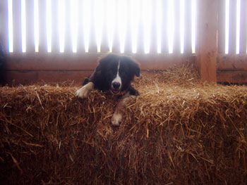 Foto aus der Fotogruppe 