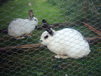 Foto aus der Fotogruppe 