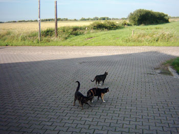 Foto aus der Fotogruppe 