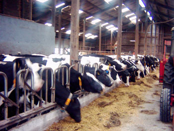 Foto aus der Fotogruppe 