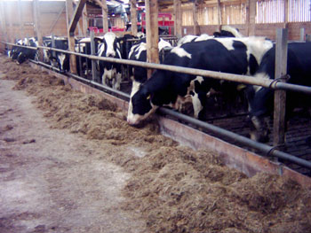 Foto aus der Fotogruppe 